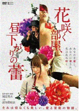 电影长片单元分类封面